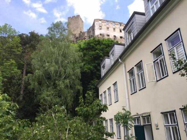 Schoene Wohnung Im Helenental 巴登 外观 照片