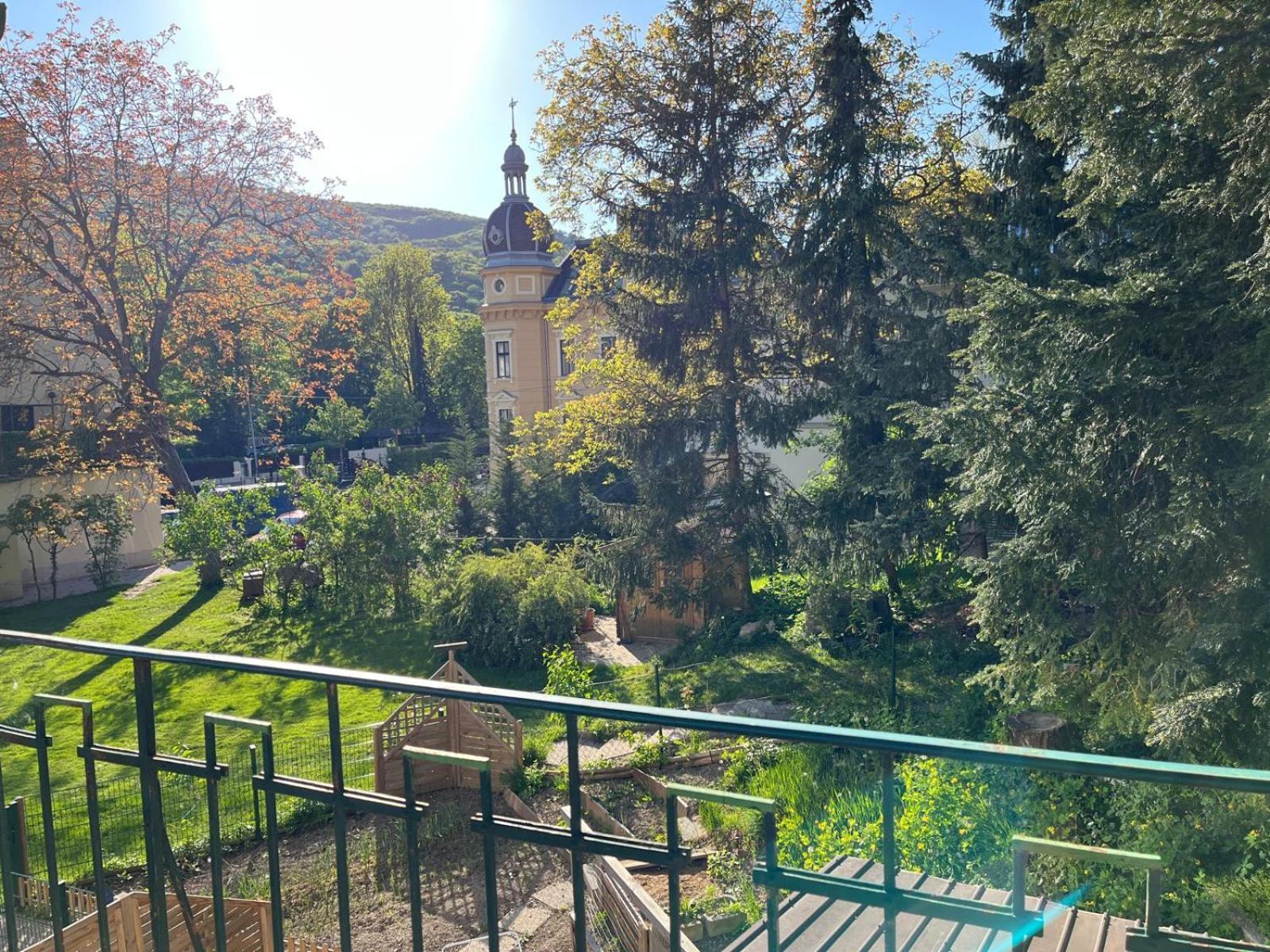 Schoene Wohnung Im Helenental 巴登 外观 照片