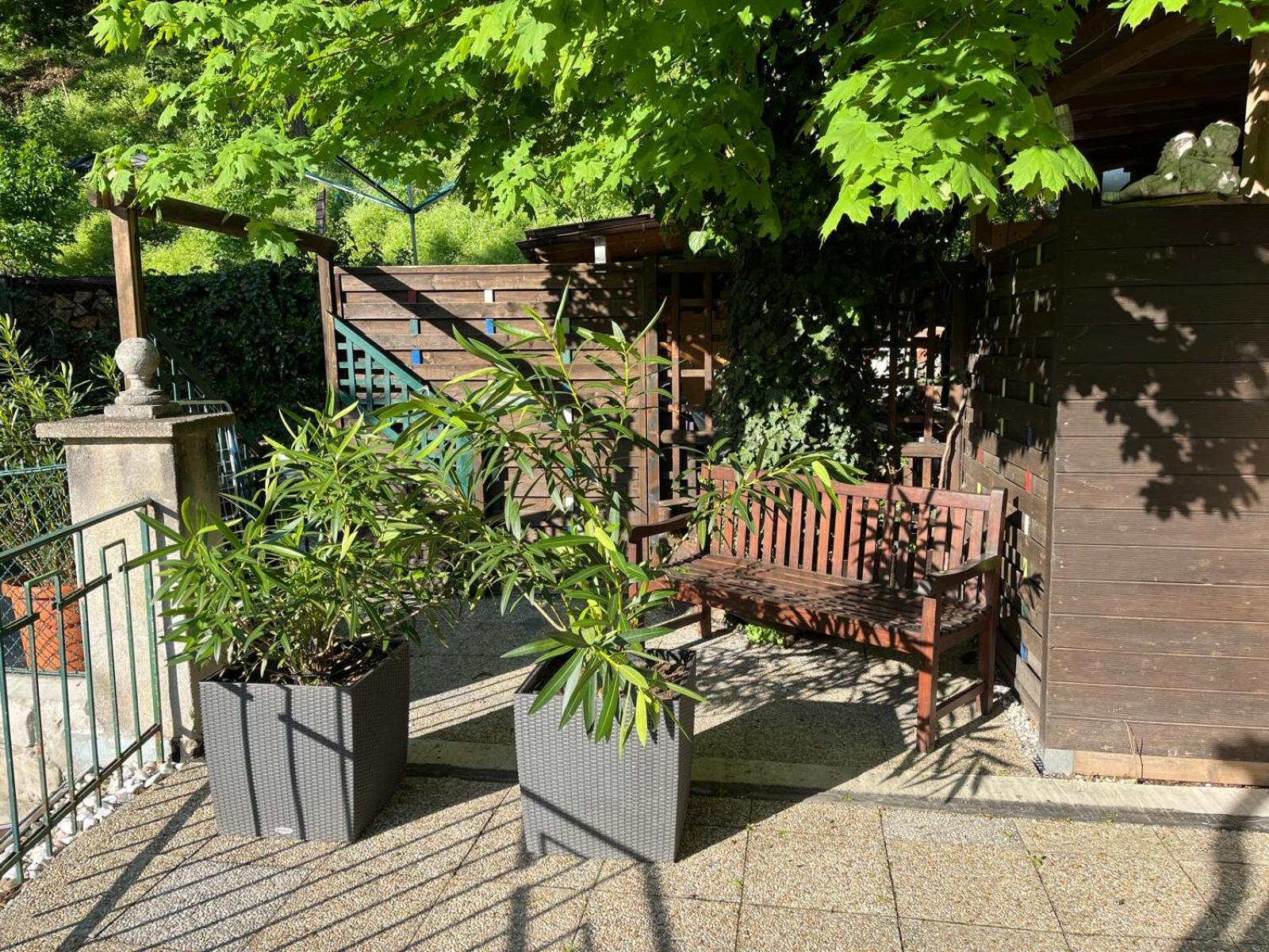 Schoene Wohnung Im Helenental 巴登 外观 照片