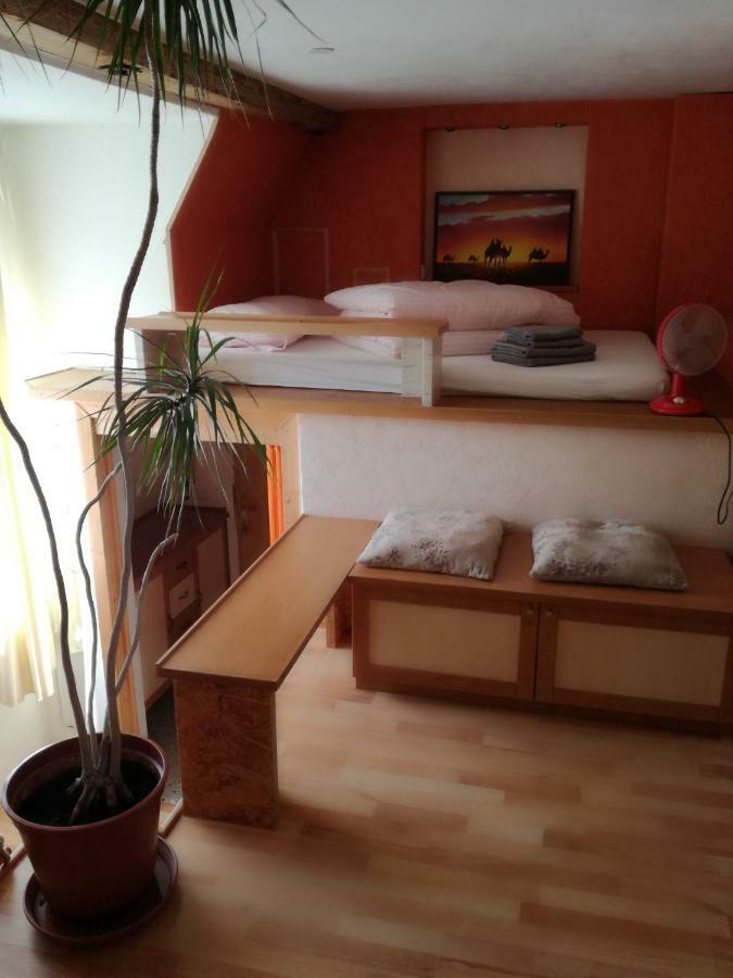 Schoene Wohnung Im Helenental 巴登 外观 照片