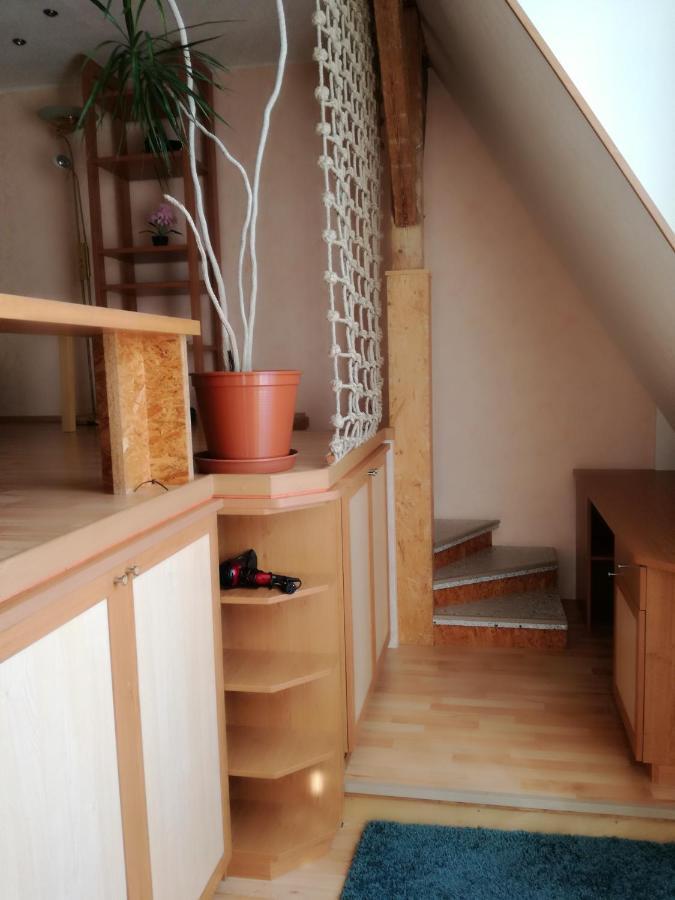 Schoene Wohnung Im Helenental 巴登 外观 照片